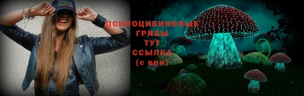 метамфетамин Богородицк